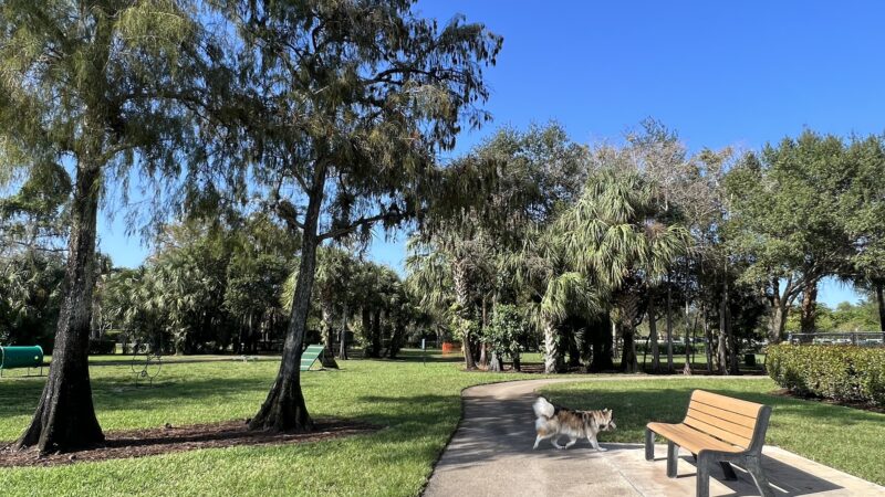 Barkland Dog Park - Parkland, FL