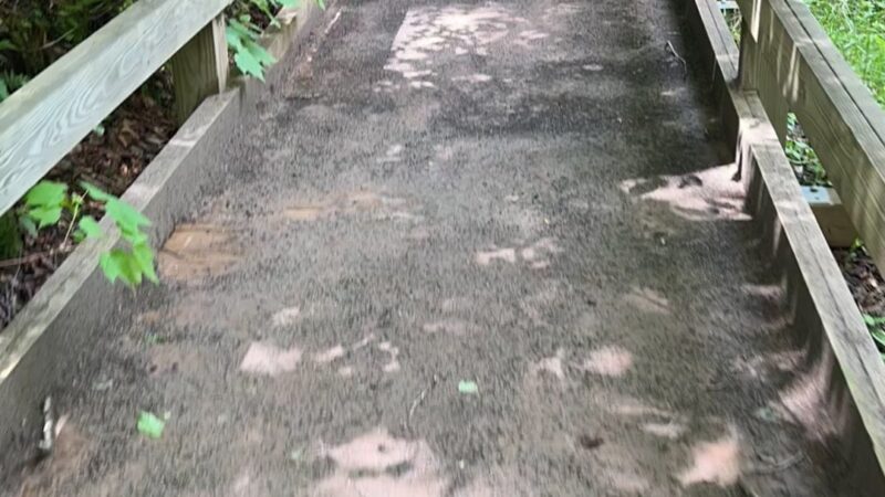 Parksville Rail Trailhead A - Parksville, NY