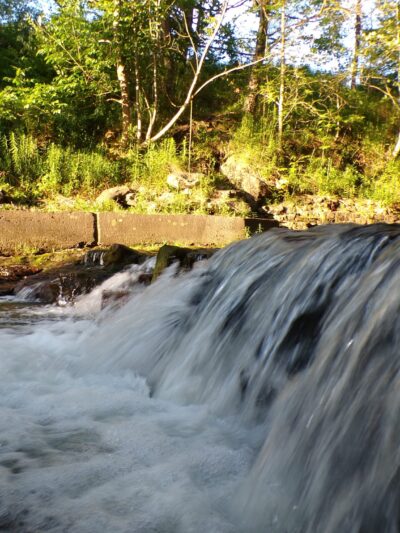 Parksville Rail Trailhead A - Parksville, NY