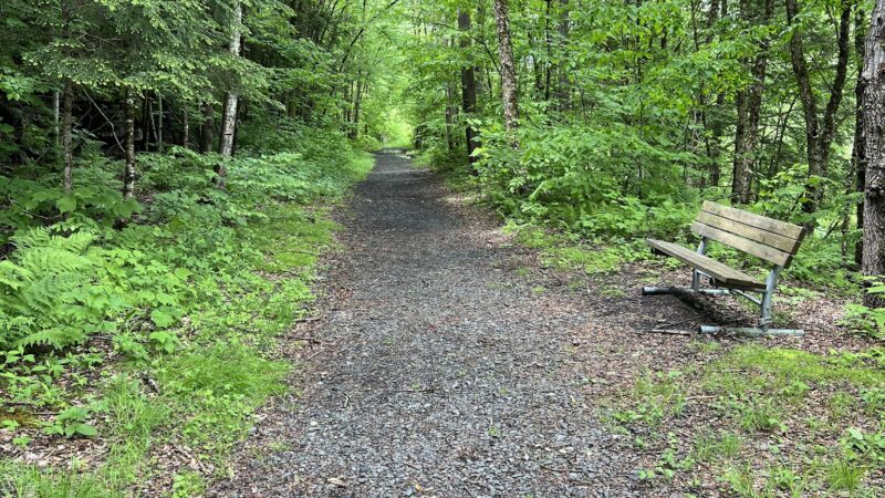 Parksville Rail Trailhead A - Parksville, NY