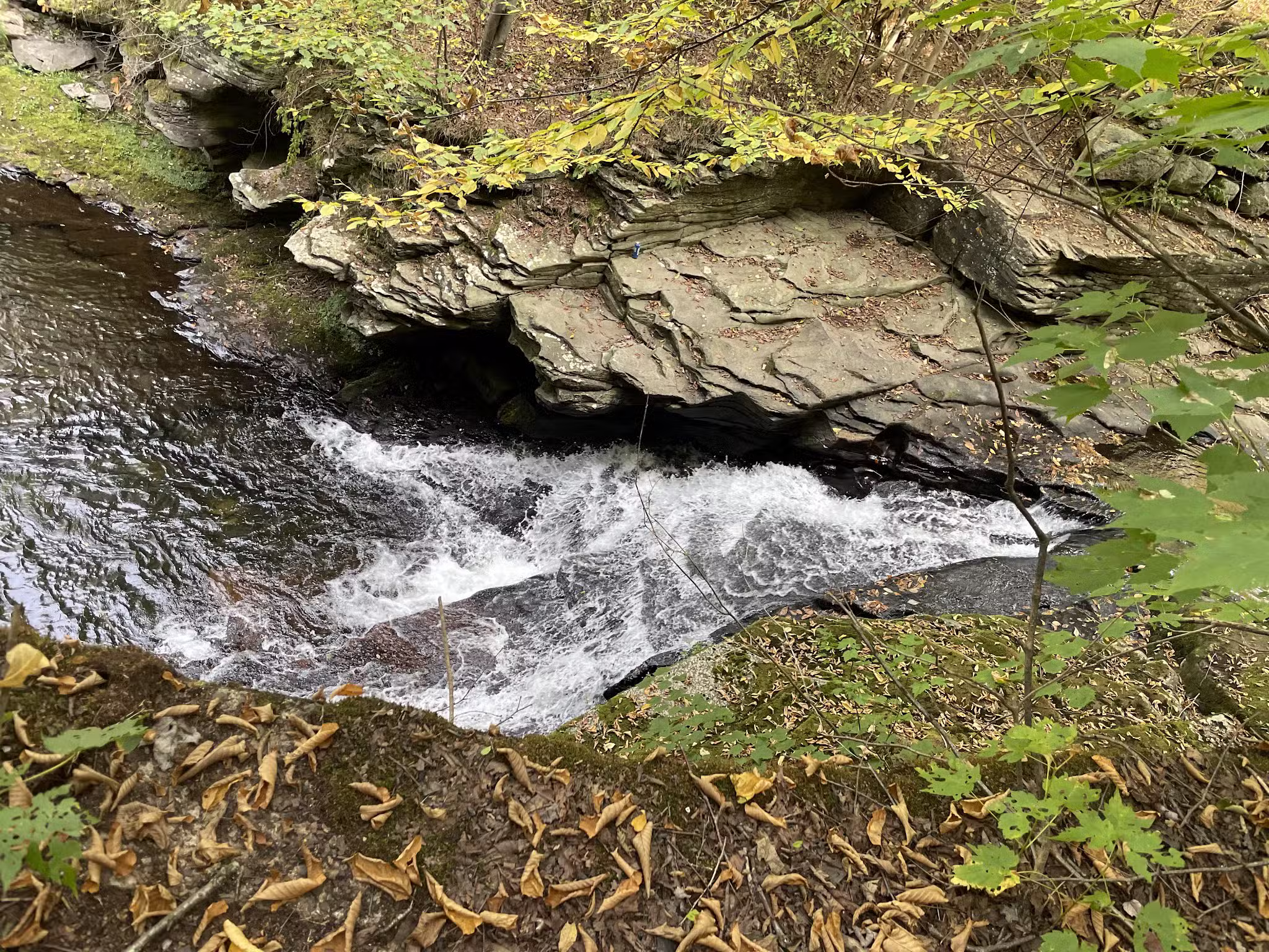 Parksville Rail Trailhead A - Parksville, NY