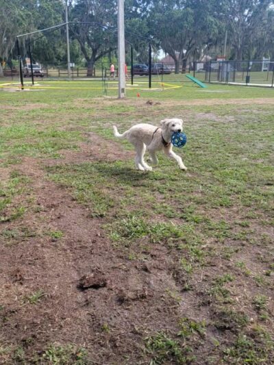 Ola Mae Sims Park - Parrish, FL