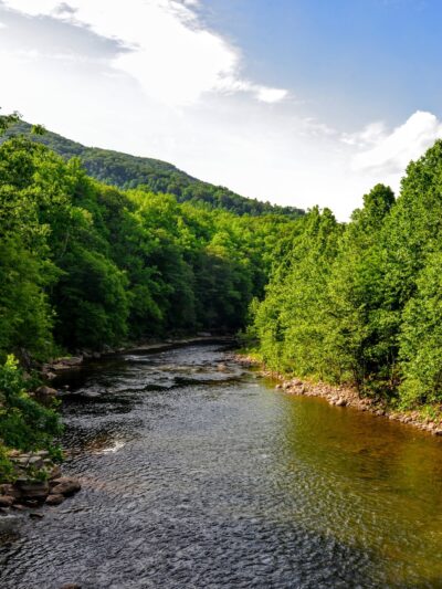 Dry Fork Trailhead - Parsons, WV