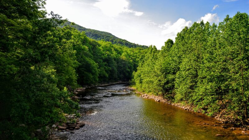 Dry Fork Trailhead - Parsons, WV