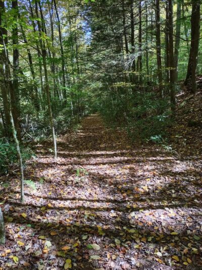 Dry Fork Trailhead - Parsons, WV