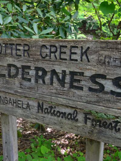 Dry Fork Trailhead - Parsons, WV