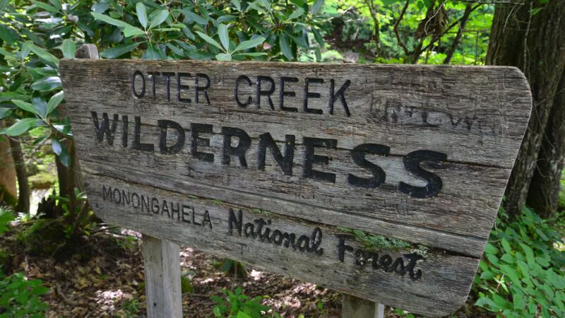 Dry Fork Trailhead - Parsons, WV
