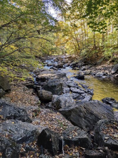 Dry Fork Trailhead - Parsons, WV