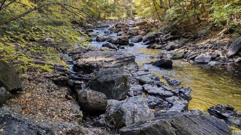 Dry Fork Trailhead - Parsons, WV