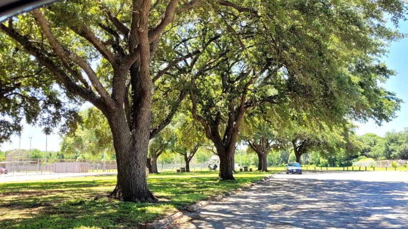 Fairmont Park - Pasadena, TX