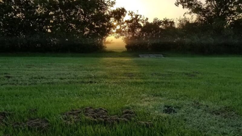 Holly Bay Park - Pasadena, TX