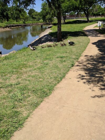 Parklane Park - Pasadena, TX