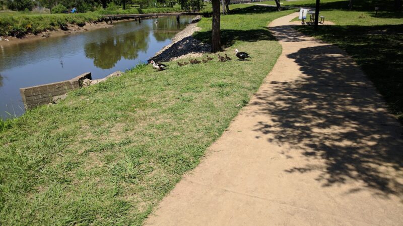 Parklane Park - Pasadena, TX