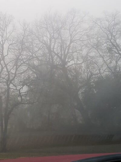 Parklane Park - Pasadena, TX