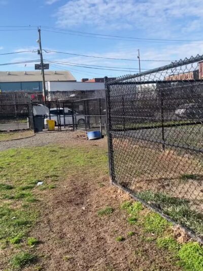 Dog Park - Paterson, NJ