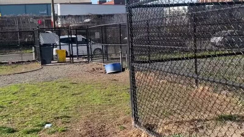 Dog Park - Paterson, NJ