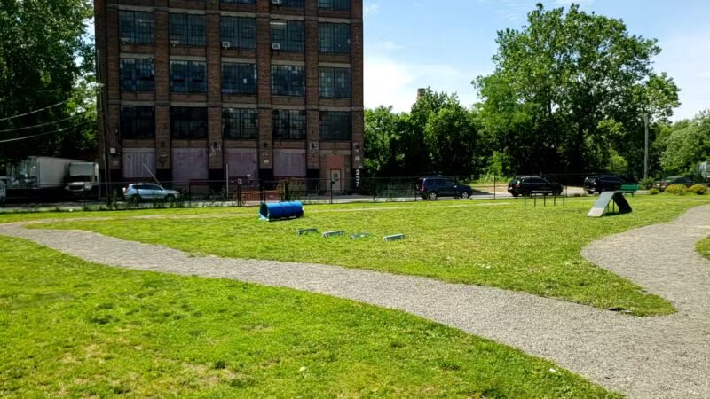 Dog Park - Paterson, NJ