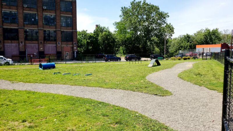 Dog Park - Paterson, NJ