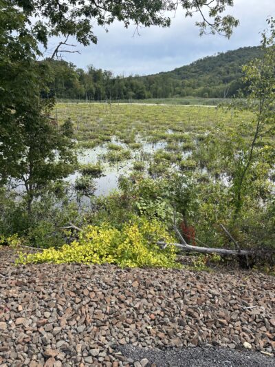 Empire State Trail - Towners Access - Patterson, NY