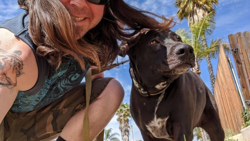 Pawsitive Collective - ,