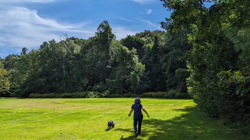 Boynton Park - Paxton, MA