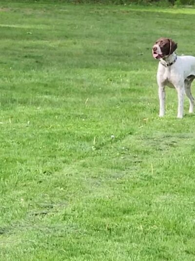 Boynton Park - Paxton, MA