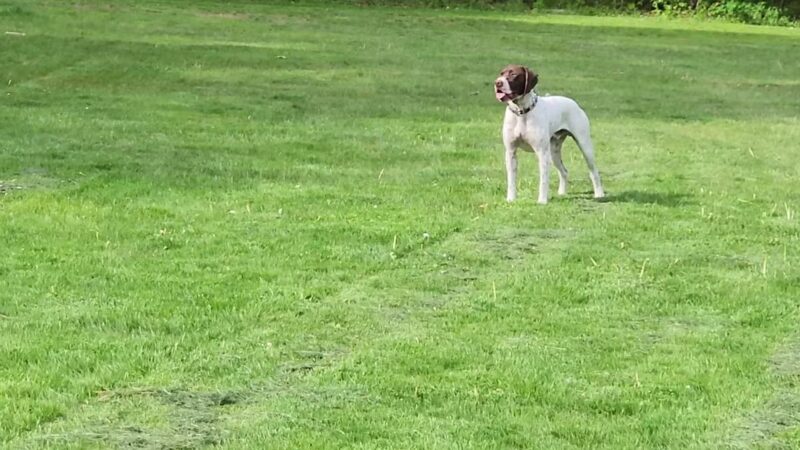 Boynton Park - Paxton, MA