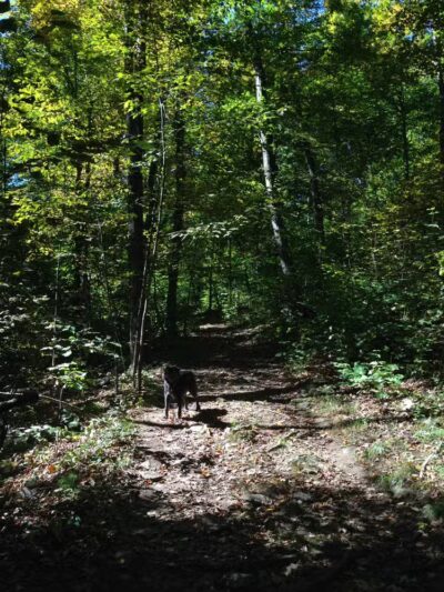 Boynton Park - Paxton, MA