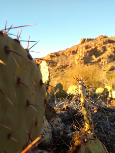 Peña Blanca - Peña Blanca, NM