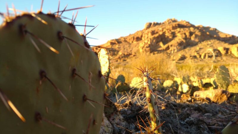 Peña Blanca - Peña Blanca, NM
