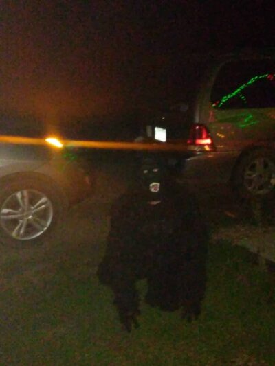 Peach Orchard Park - Peach Orchard, AR