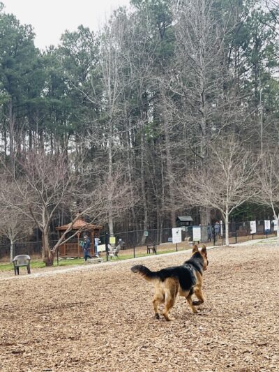Peachtree City Dog Park - Peachtree City, GA