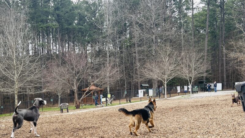 Peachtree City Dog Park - Peachtree City, GA