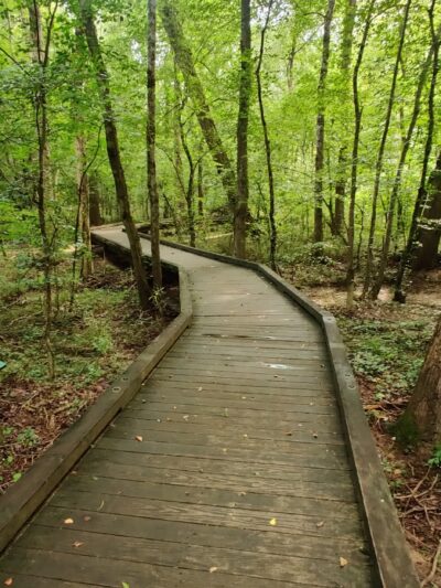 Peachtree City Dog Park - Peachtree City, GA