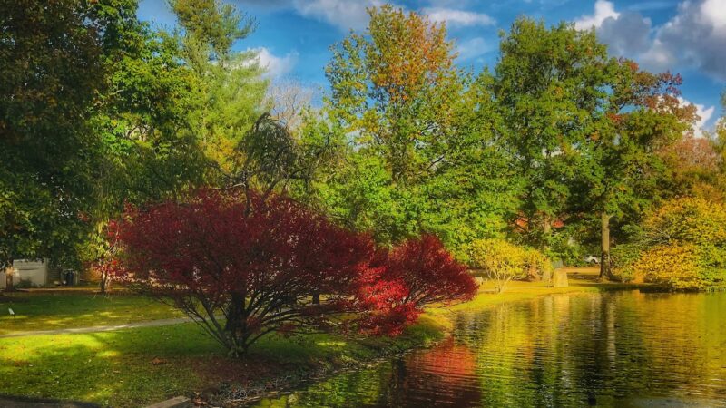 Liberty Park - Peapack, NJ