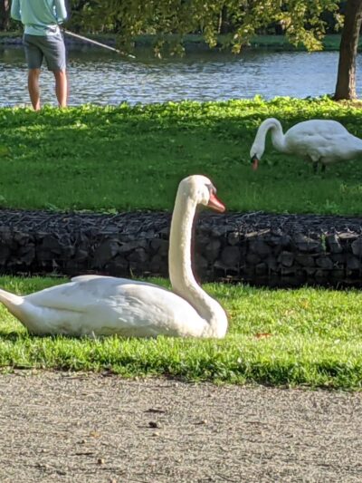 Liberty Park - Peapack, NJ