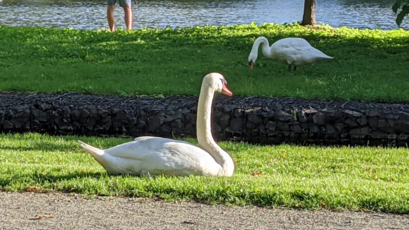 Liberty Park - Peapack, NJ