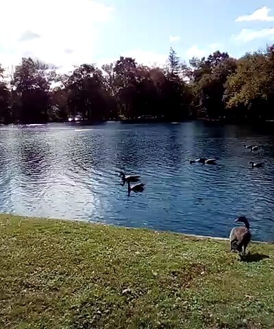 Liberty Park - Peapack, NJ