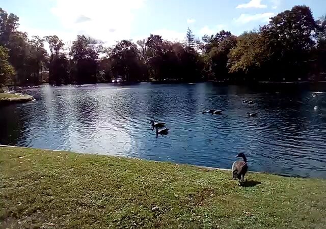 Liberty Park - Peapack, NJ