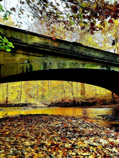 Natirar Park - Peapack, NJ