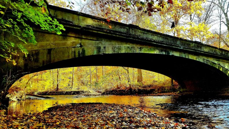 Natirar Park - Peapack, NJ