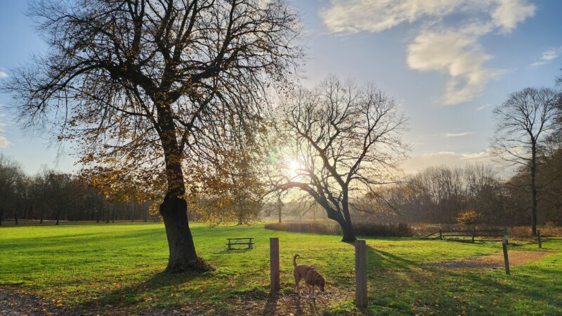 Natirar Park - Peapack, NJ