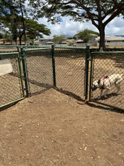 Pearl City Peninsula Dog Park - Pearl City, HI