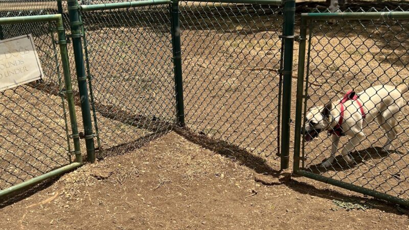 Pearl City Peninsula Dog Park - Pearl City, HI