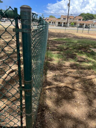 Pearl City Peninsula Dog Park - Pearl City, HI