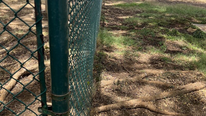 Pearl City Peninsula Dog Park - Pearl City, HI