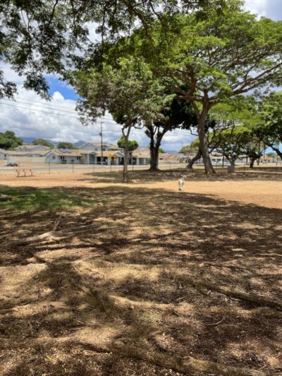 Pearl City Peninsula Dog Park - Pearl City, HI