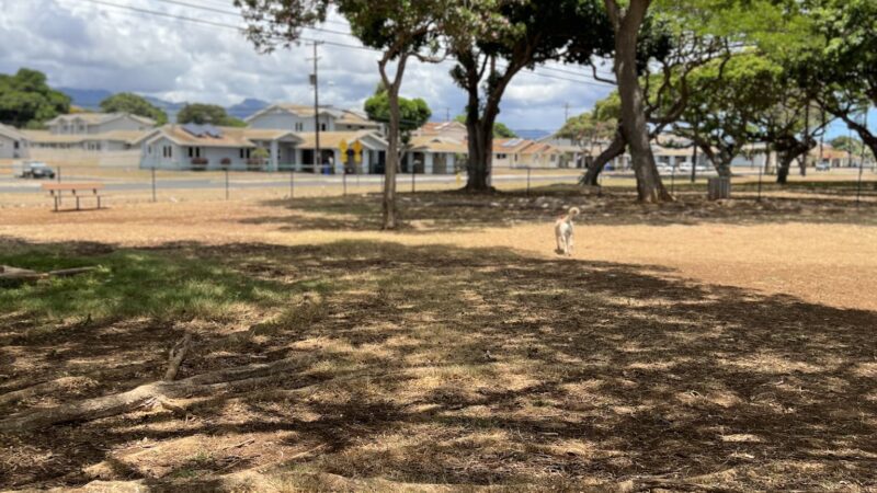Pearl City Peninsula Dog Park - Pearl City, HI
