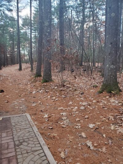 George M. Muldoon Park - Pelham, NH