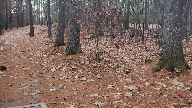 George M. Muldoon Park - Pelham, NH